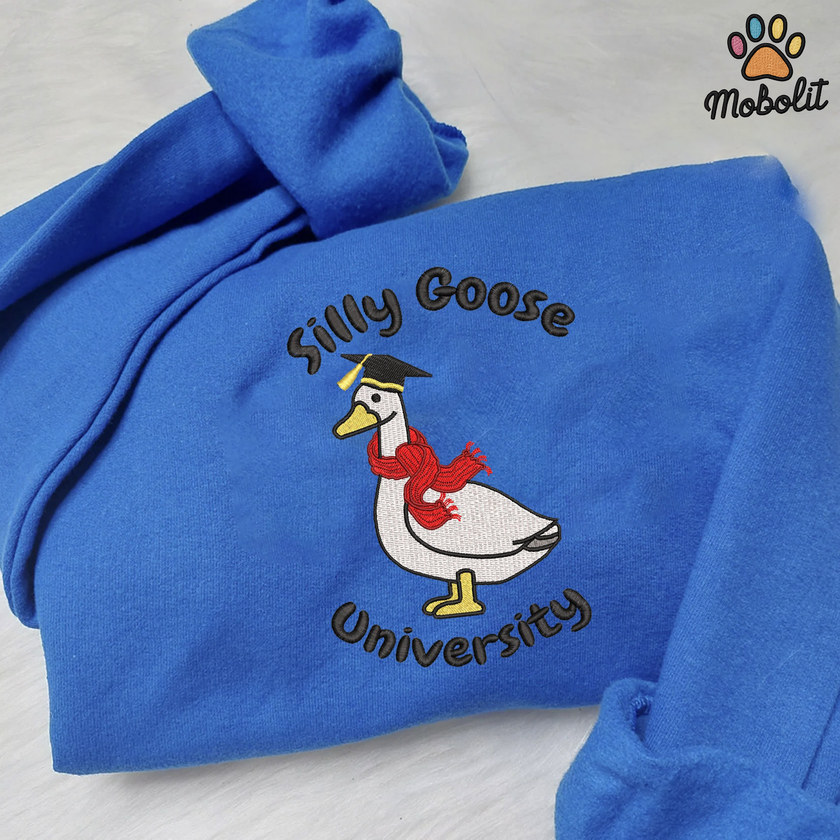 Silly Goose University Y2K Style College Embroidered, Embroidery Sweatshirt Tshirt Hoodie For Fan