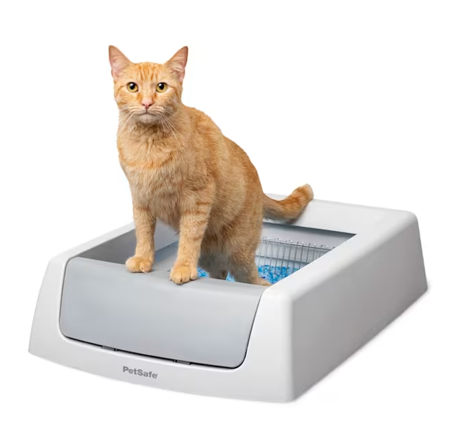 ScoopFree Crystal Classic Self-Cleaning Litter Box, Large